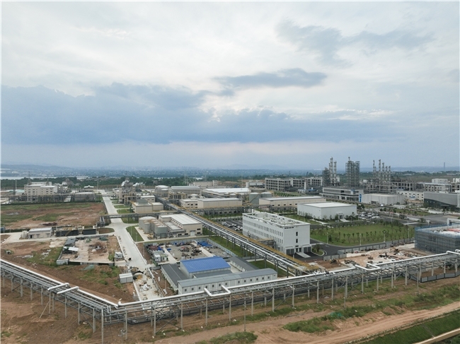 攻坚突破创佳绩   品牌赋能拓新局——中国化学工程四化建中南公司2025年高质量发展纪实