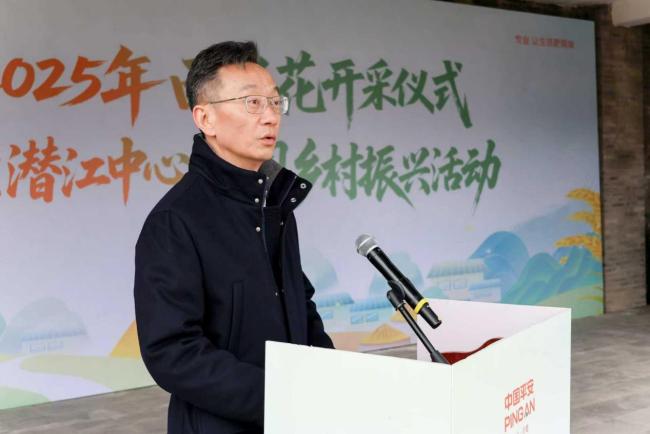 潜江市2025年西兰花开采仪式暨平安产险潜江中支开展“平安保驾护航，花开产业兴旺”乡村振兴活动圆满举行