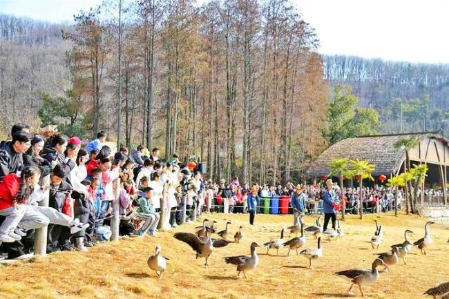 2026年元旦旅行报告发布  湖北和武汉五大热门景区出炉