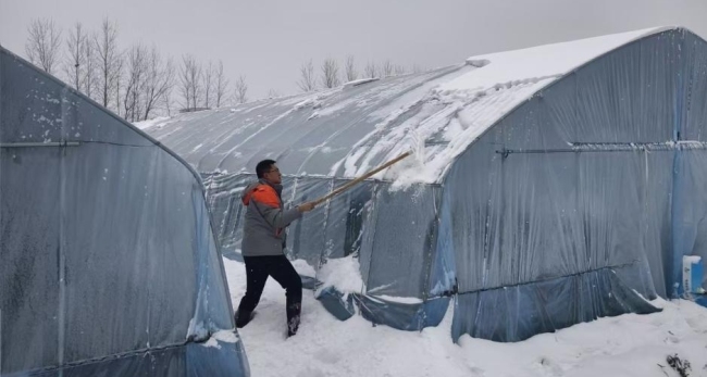 潜江平安跑出农险服务“加速度”,“防、减、救、赔”解农忧