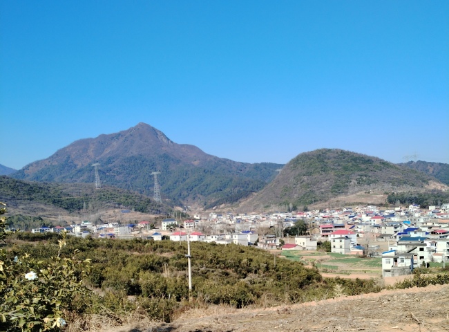 湖北阳新诗人浪子文清专访：手机连线白浪山，《土地的眷恋》拆解乡土密码