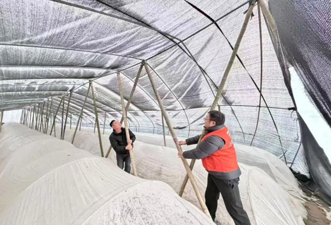 暴雪袭荆楚&nbsp;平安守民生——平安产险湖北分公司抗击冰雪护航农企保生产