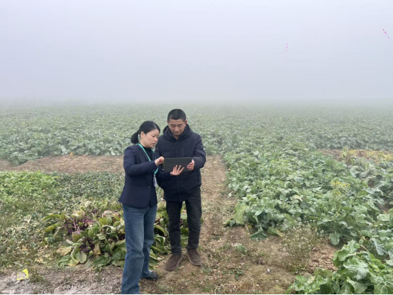 邮储银行孝感市分行:服务春耕助生产 聚焦产业促振兴