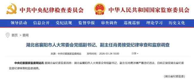 湖北省襄阳市人大常委会党组副书记、副主任肖勇被查