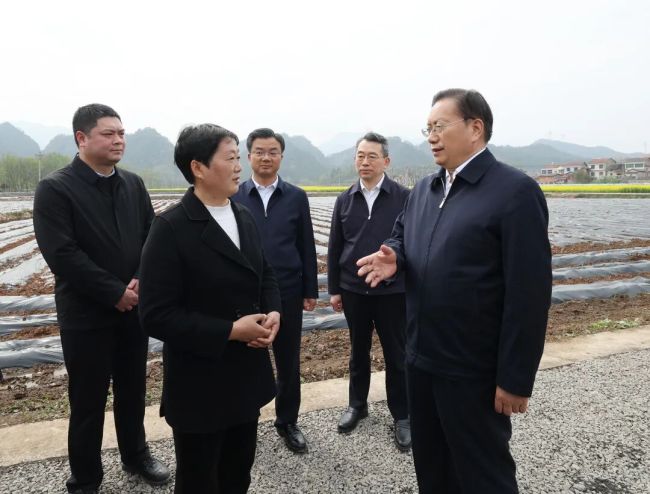 王忠林在宜昌调研产业发展和春耕生产时强调 壮大特色优势产业 抓好春季农业生产 为加力奋进支点建设作出新贡献