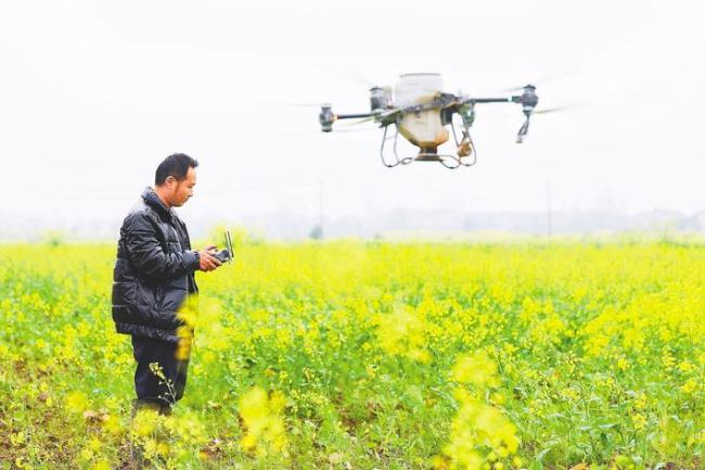 数智“巧板眼”提升春耕含“新”量