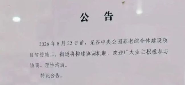 光谷中央公园 3000㎡养老综合体暂缓施工,内开式出入口成核心矛盾