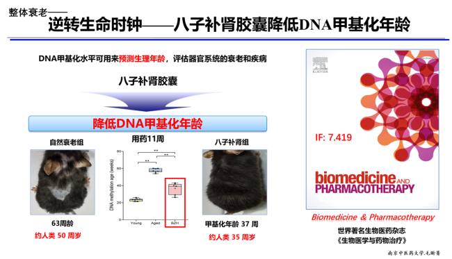 如何实现老而不衰？吴以岭院士解读八子补肾延缓衰老最新科研成果！