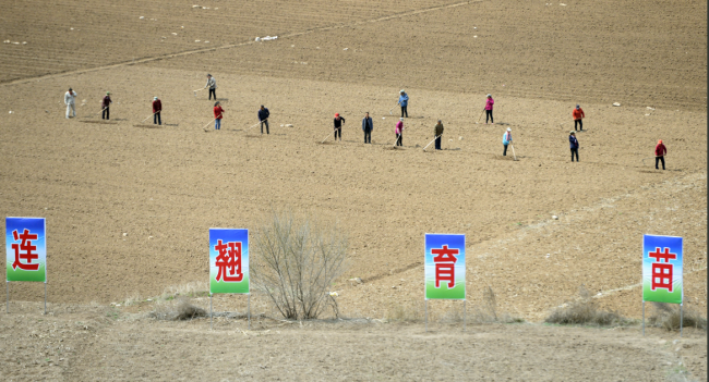 企业家之爱国心：匠心独运，铸就中药辉煌