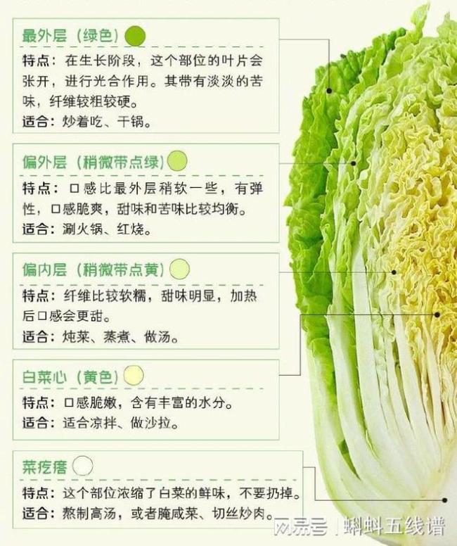 北方人都爱囤的大白菜，具有什么营养价值？