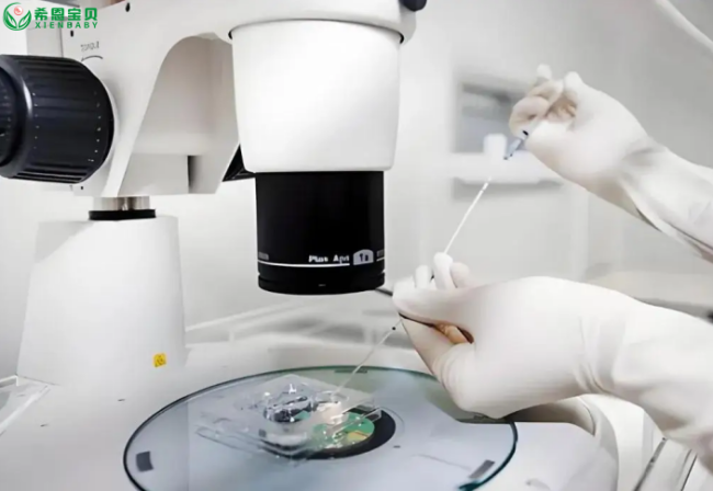 希恩宝贝-哈萨克斯坦试管婴儿成功秘籍:助孕前准备,助你少走弯路不花冤枉钱!