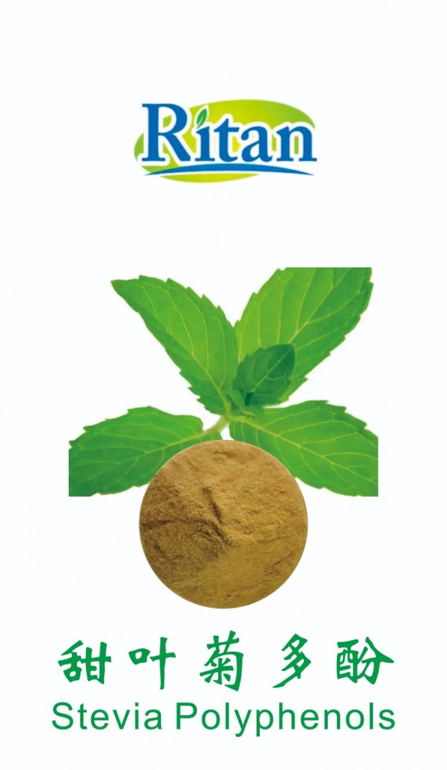 甜叶菊多酚：天然“健康甜”+“抗氧化”+“口感优化”三效合一的神奇成分 ——让咖啡、0糖茶饮更好喝更健康的新选择