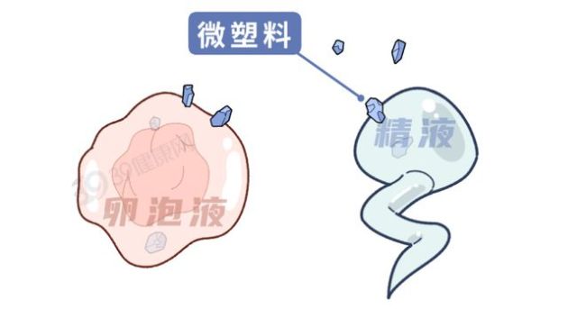 长期烧自来水喝的人和买桶装水的人，谁更健康？答案和你想的不同