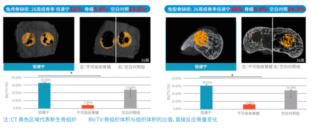 佰傲再生可吸收骨蜡，从止血工具到骨愈伙伴的跨越