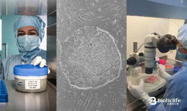 百奥蒂（BIOTICLIFE）：让未来医学拥有理性与温度 ——一场科技与人文并行的医学革命