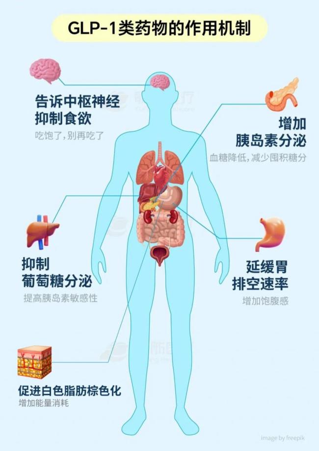  “躺瘦针”的真相，全网爆火的“减重神器”靠谱吗？
