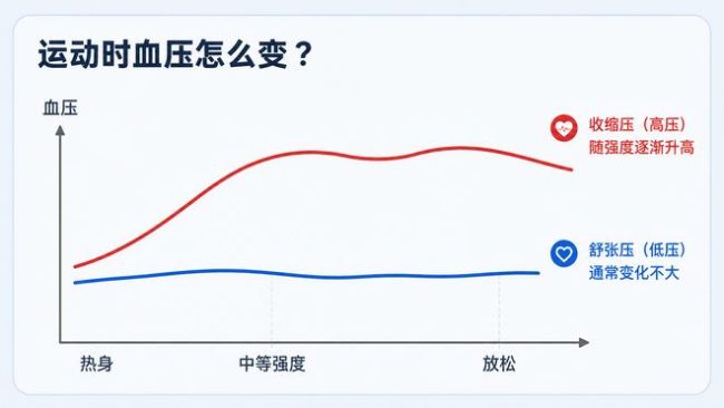 高血压患者，收下这套“降压运动”方案
