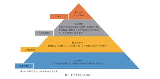 UC-II骨胶原怎么选?《中国骨关节炎诊疗指南》阶梯化治疗原则解读