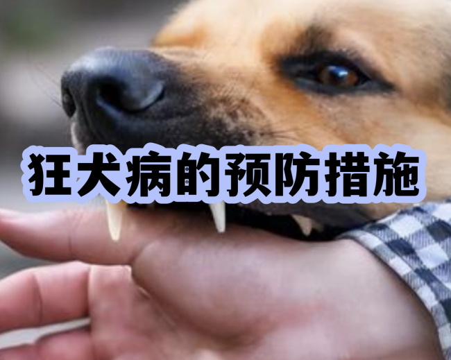 狂犬病发病近乎无救，但可以规范预防