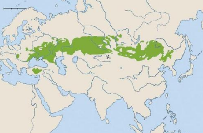 东亚是怪物房？从匈奴到蒙古，为何连游牧民族都是东边比西边厉害