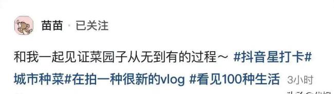 苗苗别墅变农场晒黑两度，郑恺心疼不已，她为啥这么拼？