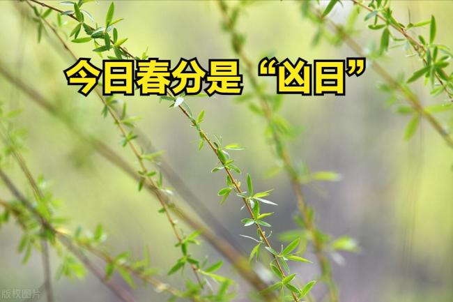 今日春分：今年春分不一般,，4大特點 民俗與健康提示