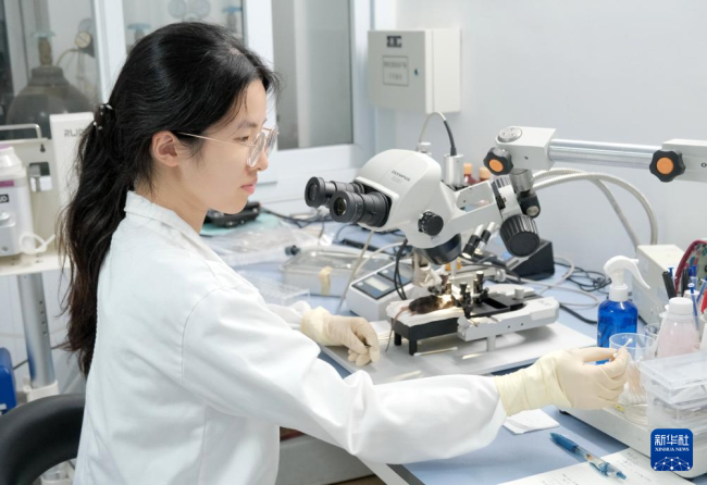 多色微型化双光子显微镜问世
