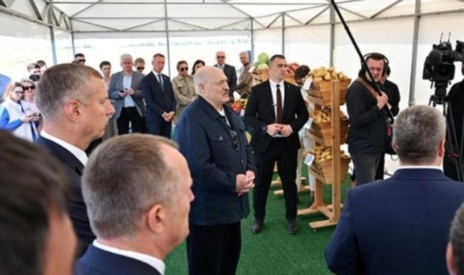 卢卡申科带土豆访华的深意 农业合作新契机