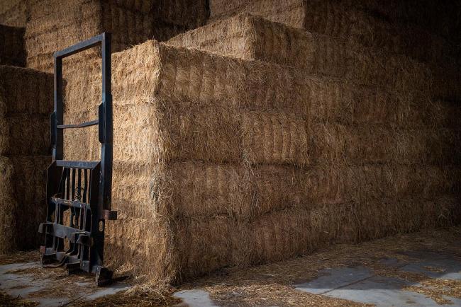 媒体焦点：中东乱局升级 全球粮食安全风险加剧