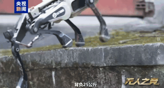 中国机器狼群巷战画面首次公开：“暗影”“浴血”“极地”集结！展现硬核实力