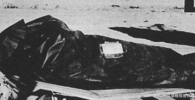 白宫启动UFO文件披露 揭秘即将开始