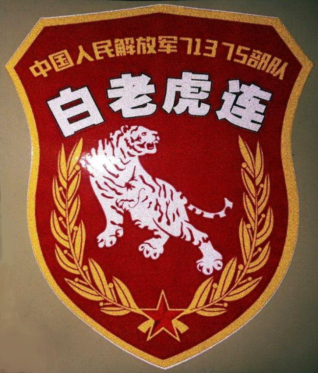 中国军衔上的枪是什么型号?