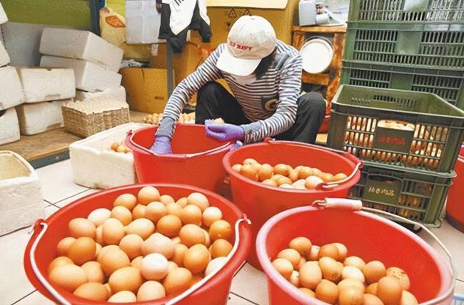 台湾产蛋率超低！“田鼠哥”爆内幕，称岛内农业差一个“张忠谋”