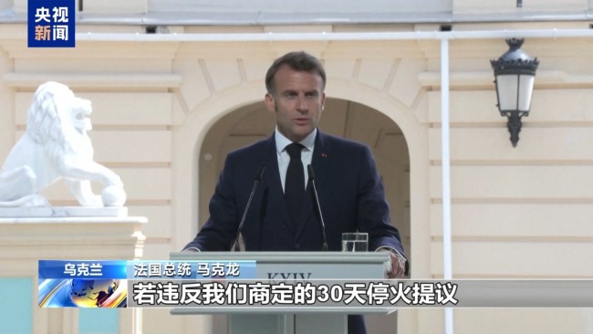 时隔4年多 这一次普京和泽连斯基能见面吗？