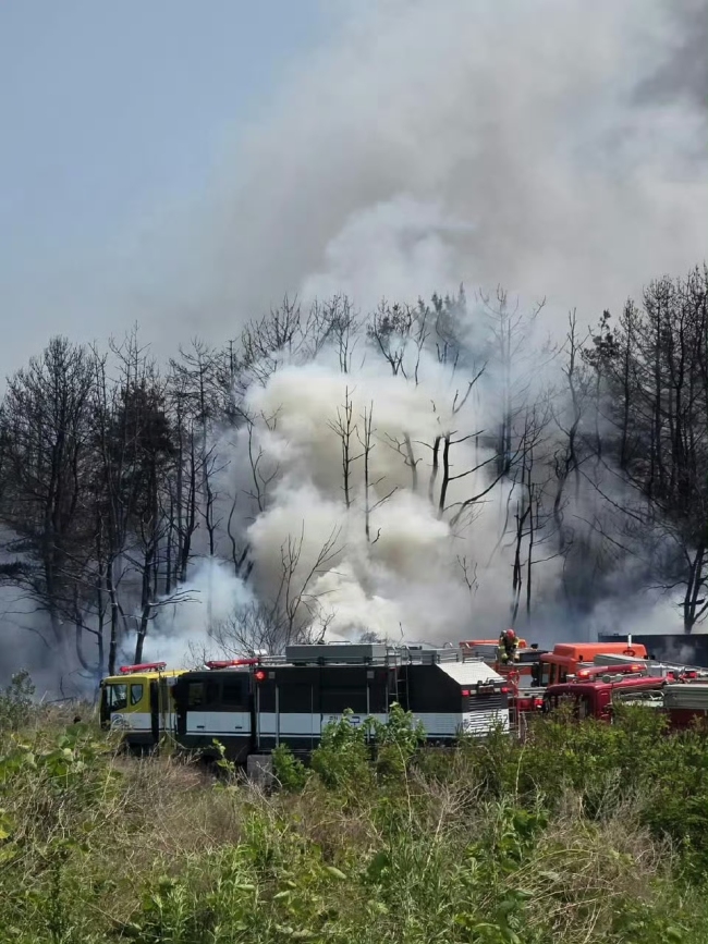 韓國(guó)浦項(xiàng)軍機(jī)墜落已致2人死亡 海軍巡邏機(jī)失事