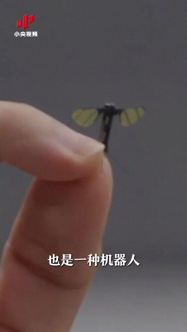 国防科大造出“蚊子机器人”重量只有0.3克