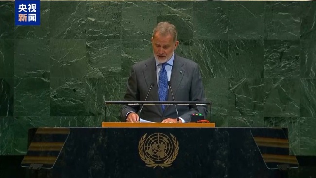 许多国家呼吁在加沙七个永久实施“两国解决方