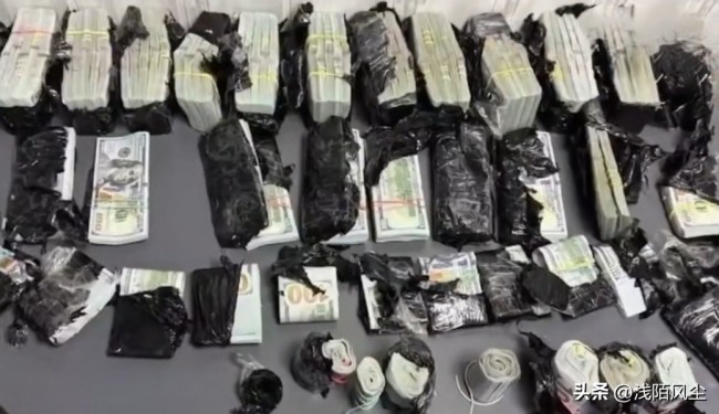 乌克兰警方逮捕发动机内藏97万美元女子!