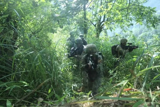 密林深处，持续发生的特殊情