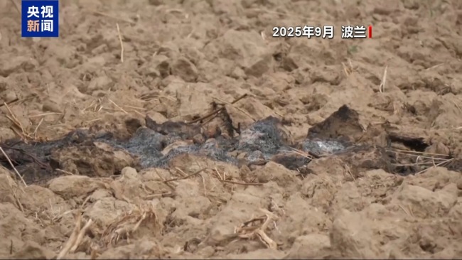 北约在波兰开展反无人机战术演练