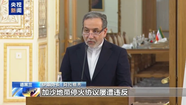 伊拉克和土耳其外长：地区国家必须共同应对以