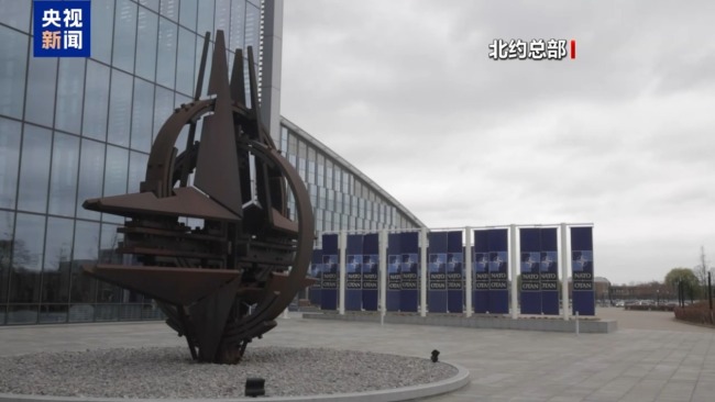 专家:俄乌“和平计划”应触及冲突发生深层原因