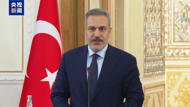 伊土两国外长：地区国家应共同应对以色列侵略扩张