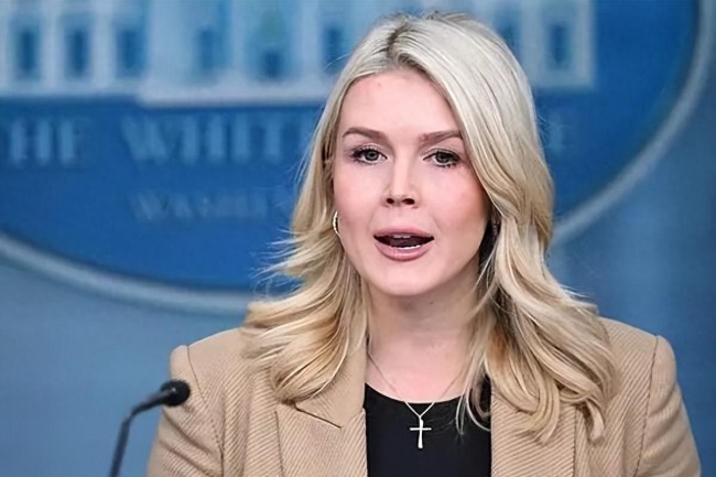 法国派兵约15人德国13人英荷各1人！