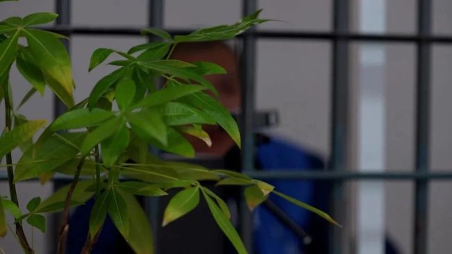 与100多名女性搞暧昧的“现役飞行员”，被抓了