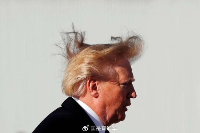 神似特朗普水牛被特赦后专享两台电扇