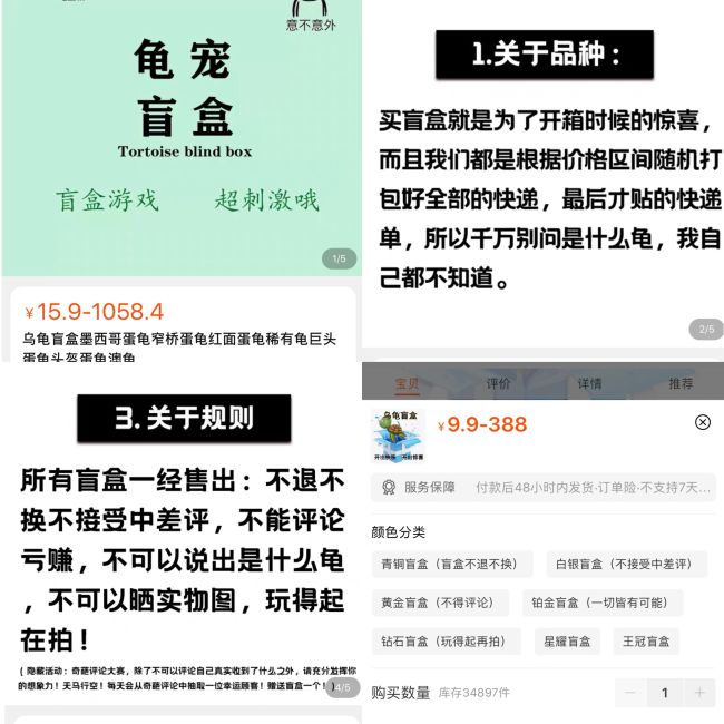 起底活体动物盲盒乱象:一经售出不退换 部分卖家无法提供健康证明