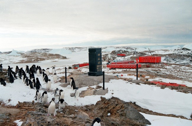 百年瞬间丨南极中山站建成