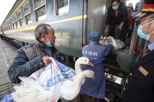  2月27日，冕宁站，家禽被运上5633次列车。新京报记者 王嘉宁 摄