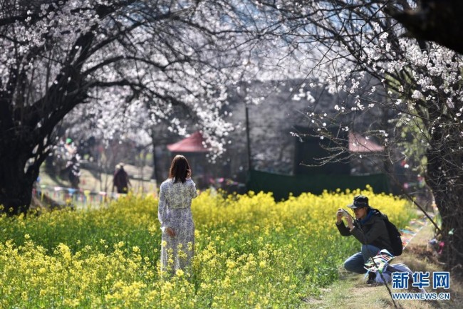3月27日，游客在林芝市嘎拉村欣赏桃花时留影。